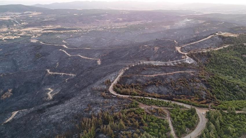 Yangın sonrası Çanakkale Savaşı'ndan kalma top mermisi ortaya çıktı