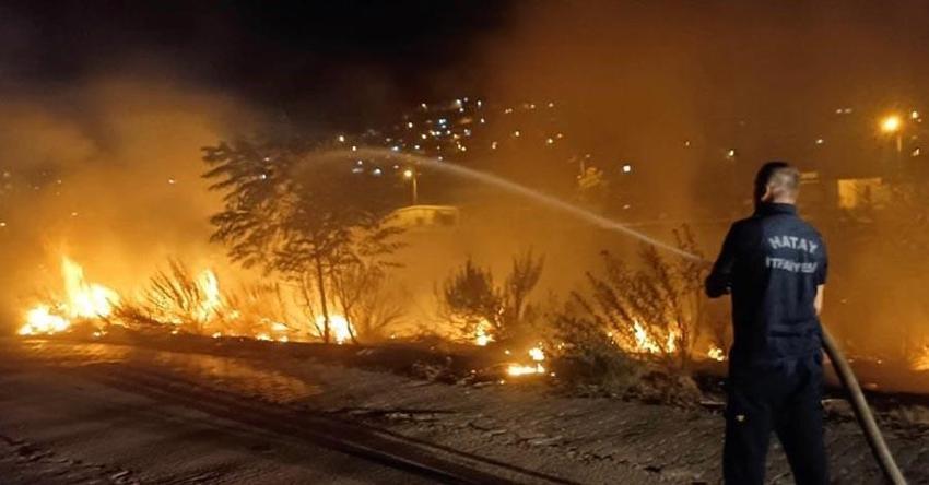 İzmir, Aydın, Bolu, Karabük'te orman yangını! Son durum belli oldu, işte yangının çıkış nedeni