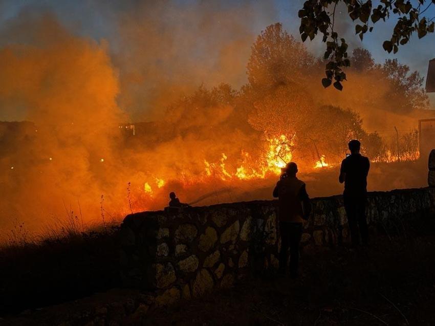 İzmir, Aydın, Bolu, Karabük'te orman yangını! Son durum belli oldu, işte yangının çıkış nedeni