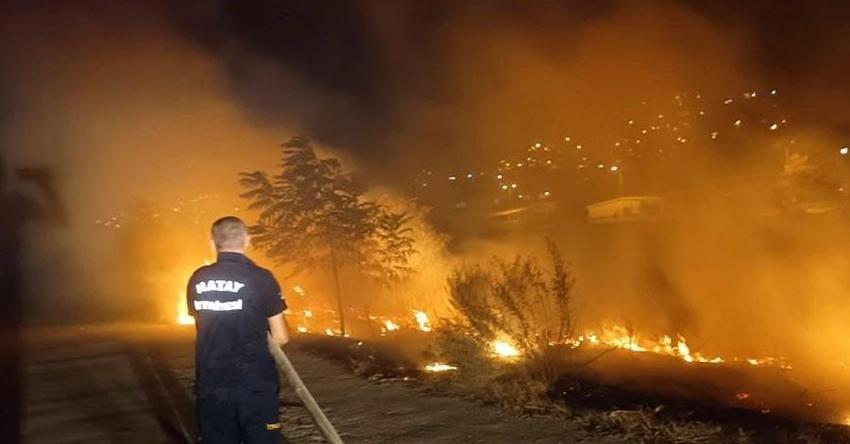 İzmir, Aydın, Bolu, Karabük'te orman yangını! Son durum belli oldu, işte yangının çıkış nedeni