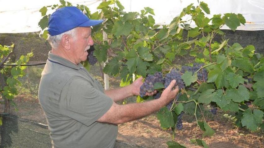 Antalya'da emekli olduktan sonra hobi olarak başladı! Atalarının 600 yıllık geleneğini sürdürüyor