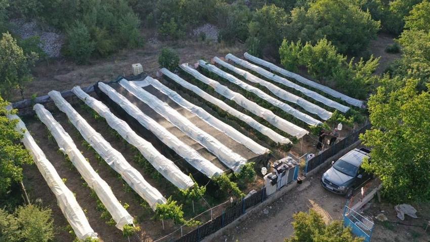 Antalya'da emekli olduktan sonra hobi olarak başladı! Atalarının 600 yıllık geleneğini sürdürüyor