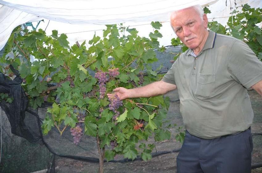 Antalya'da emekli olduktan sonra hobi olarak başladı! Atalarının 600 yıllık geleneğini sürdürüyor