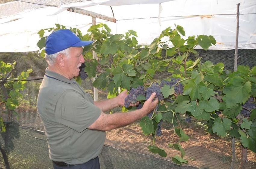Antalya'da emekli olduktan sonra hobi olarak başladı! Atalarının 600 yıllık geleneğini sürdürüyor