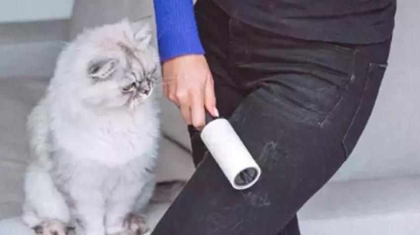 Kedi köpek tüyünü saniyeler içinde toplayan tüyo; koltuk, halı, perde fark etmiyor