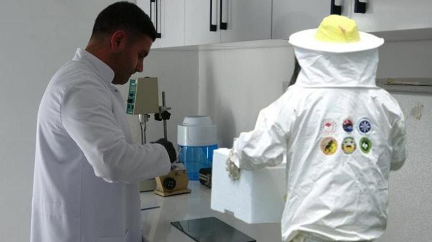 Ardahan'da hobi olarak başladı paraya para demiyor! Kilo fiyatı dudak uçuklatıyor