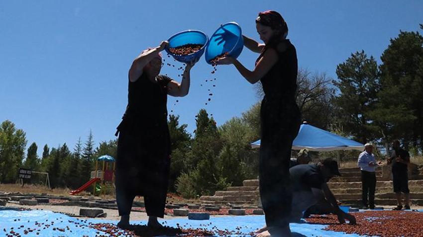 Yozgat'tan Japonya'ya tonlarca ihraç edildi! Her şey 4 yıl önce başladı