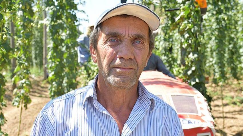 Türkiye'de sadece Bilecik'te yetiştiriliyor! Her derde deva, kilosu 69 TL'den satılıyor