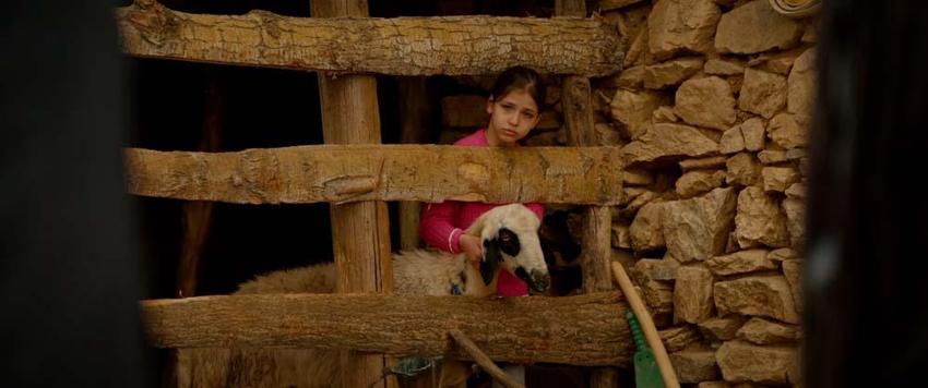 Adana Altın Koza’da Orhan Kemal Emek Ödülleri’nin sahipleri belli oldu