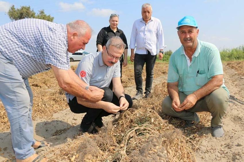 Türkiye'de en fazla Adana'da üretiliyor! Yüzde 30 artış bekleniyor