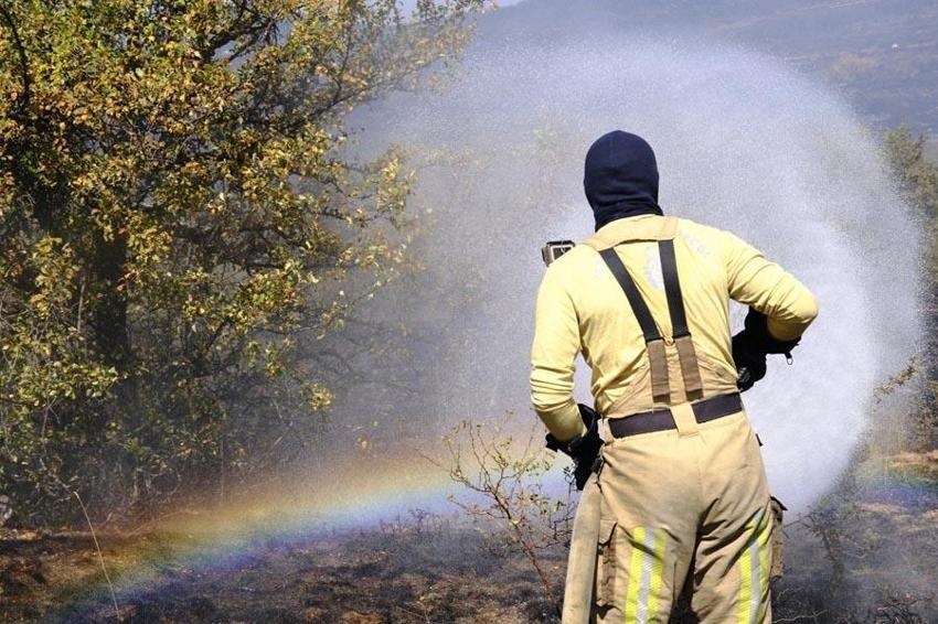 Ankara'da çıkıp Bolu'ya sıçrayan orman yangını kontrol altına alındıktan sonra yeniden başladı