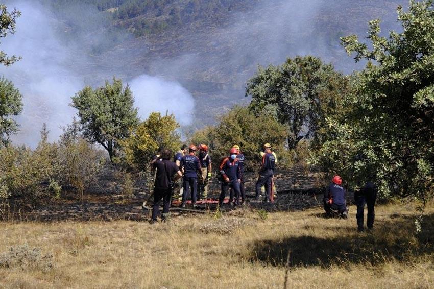 Ankara'da çıkıp Bolu'ya sıçrayan orman yangını kontrol altına alındıktan sonra yeniden başladı