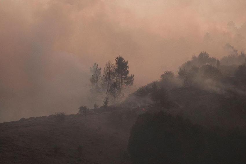 Ankara'da çıkıp Bolu'ya sıçrayan orman yangını kontrol altına alındıktan sonra yeniden başladı