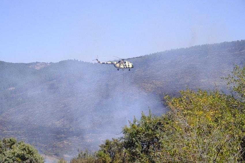 Ankara'da çıkıp Bolu'ya sıçrayan orman yangını kontrol altına alındıktan sonra yeniden başladı