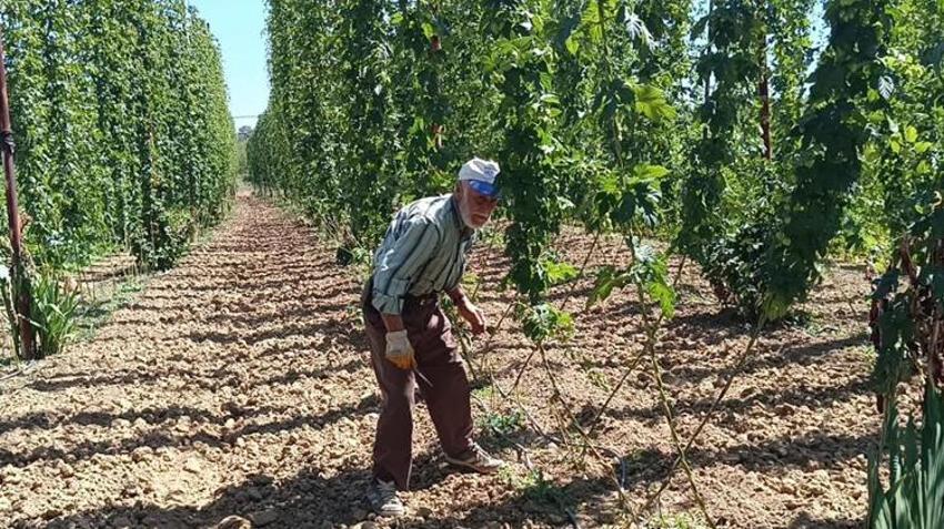 Tarım arazileri için yeni karar! Bakanlık hepsini kiralayacak