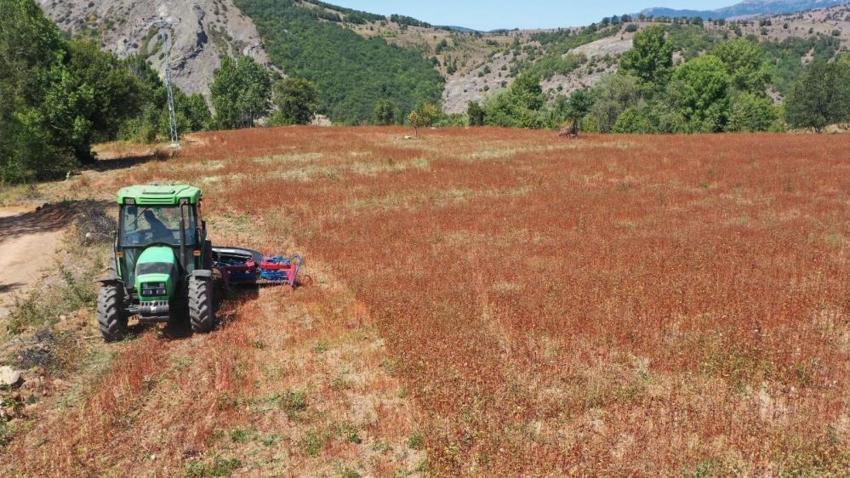Tarım arazileri için yeni karar! Bakanlık hepsini kiralayacak