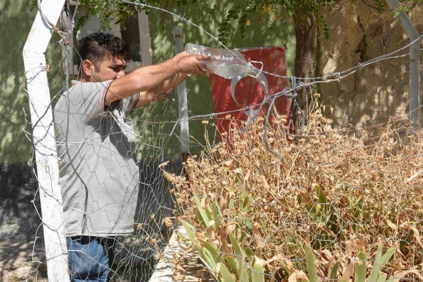 Bu köyde 600 şehidin mezarı var! Evlerinin avlusunda 103 yıllık şehit yatıyor