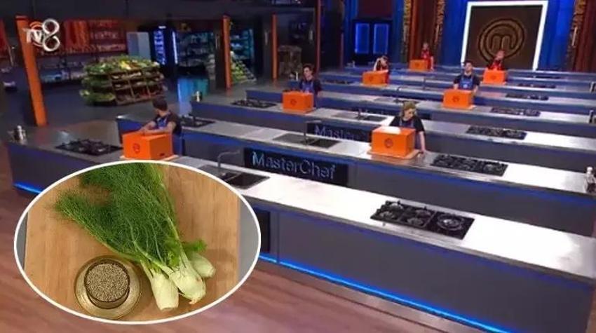 24 Ağustos 2024 MasterChef Türkiye dokunulmazlık oyununu kim kazandı?
