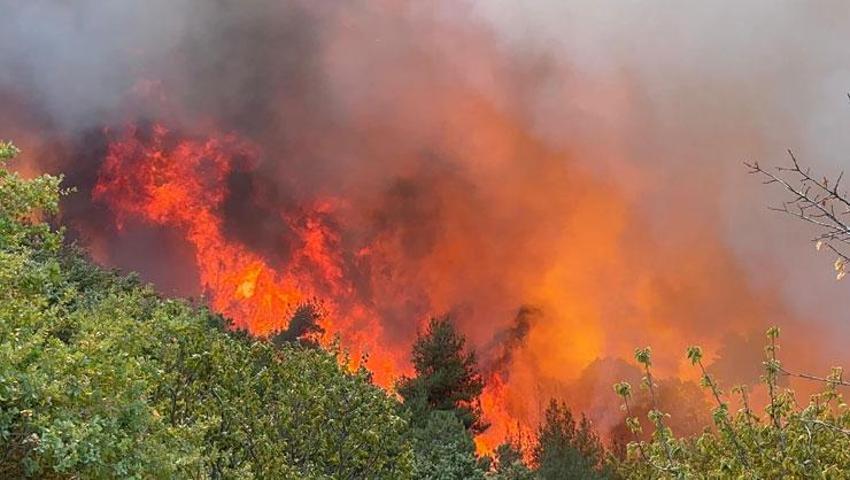 Bursa İznik'te orman yangını çıktı! 6 uçak ve 3 helikopter müdahale ediyor