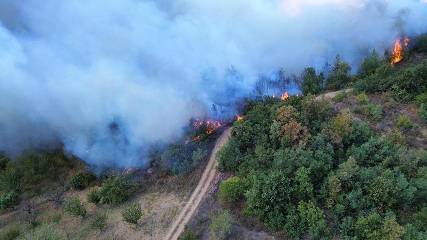 Bursa İznik'te orman yangını çıktı! 6 uçak ve 3 helikopter müdahale ediyor