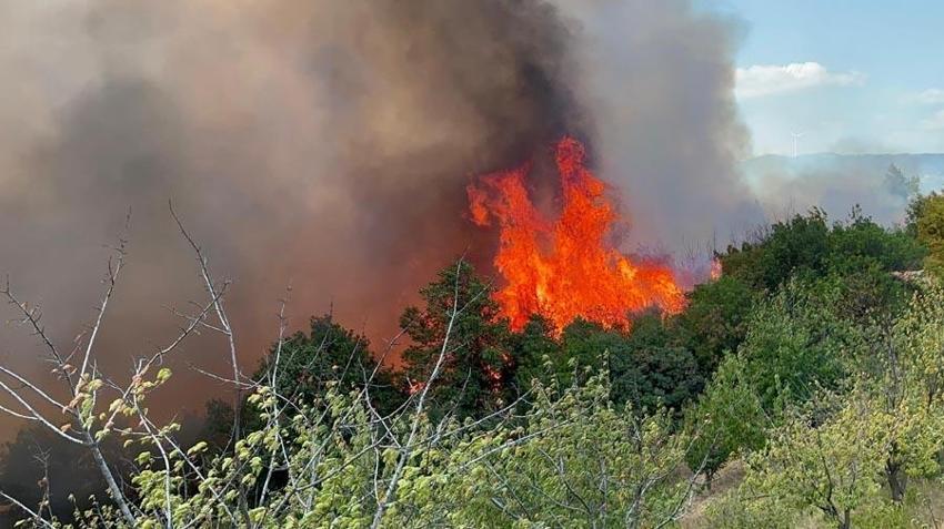 Bursa İznik'te orman yangını çıktı! 6 uçak ve 3 helikopter müdahale ediyor