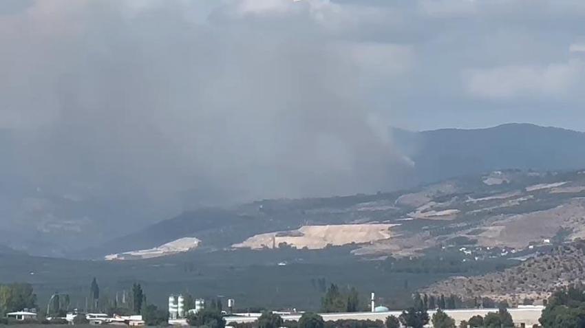 Bursa İznik'te orman yangını çıktı! 6 uçak ve 3 helikopter müdahale ediyor
