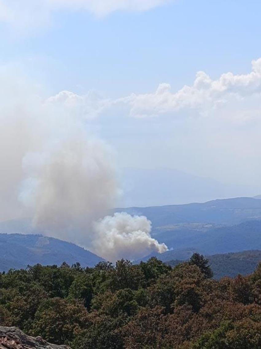 Bursa İznik'te orman yangını çıktı! 6 uçak ve 3 helikopter müdahale ediyor