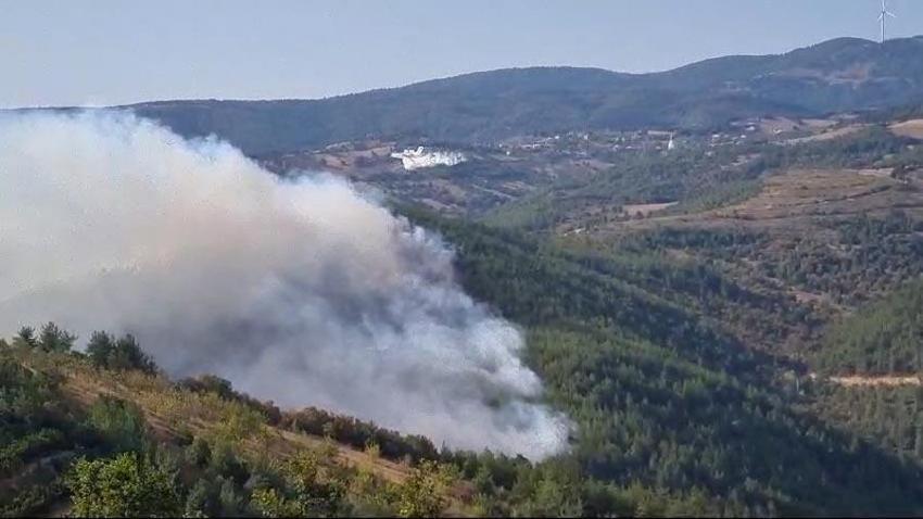 Bursa İznik'te orman yangını çıktı! 6 uçak ve 3 helikopter müdahale ediyor