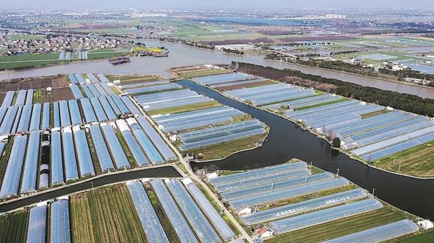 Adana’da tarımda devrim yaratacak proje! Avrupa’da bir ilk olacak: 5 bin kişiye istihdam imkanı ile fark yaratacak