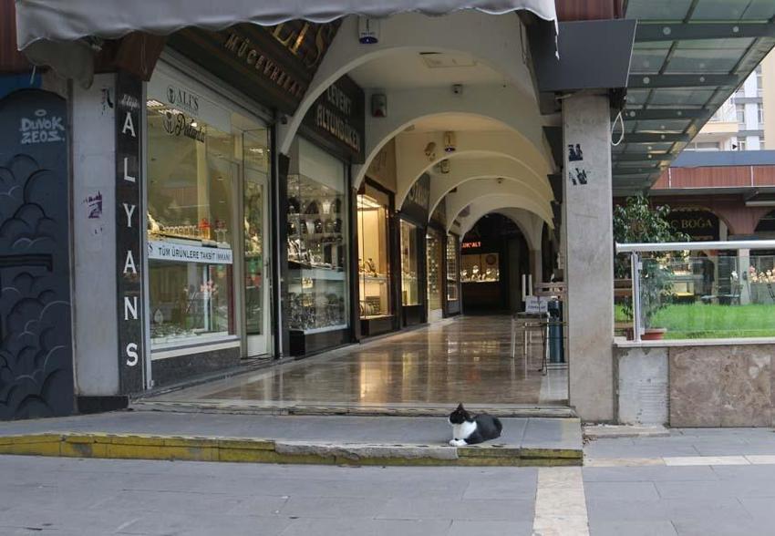 Adana'nın asabi kedisi 'Kızım' psikopat çıktı! Herkese zor anlar yaşatıyor