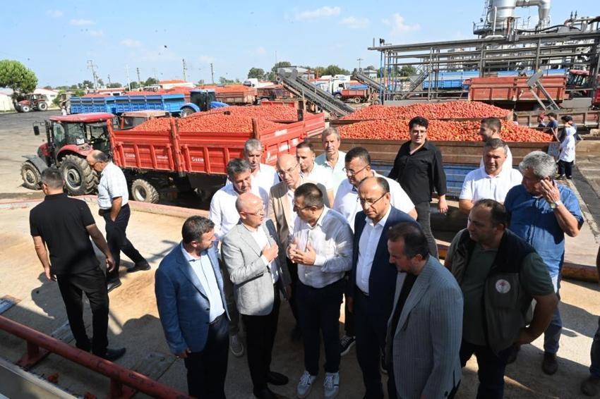 Tarlada domatesi kalan çiftçiye Bakanlıktan destek! Salça üreticisine destek verilecek