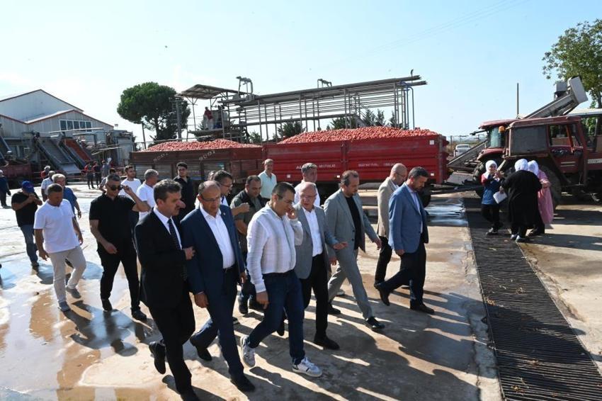 Tarlada domatesi kalan çiftçiye Bakanlıktan destek! Salça üreticisine destek verilecek
