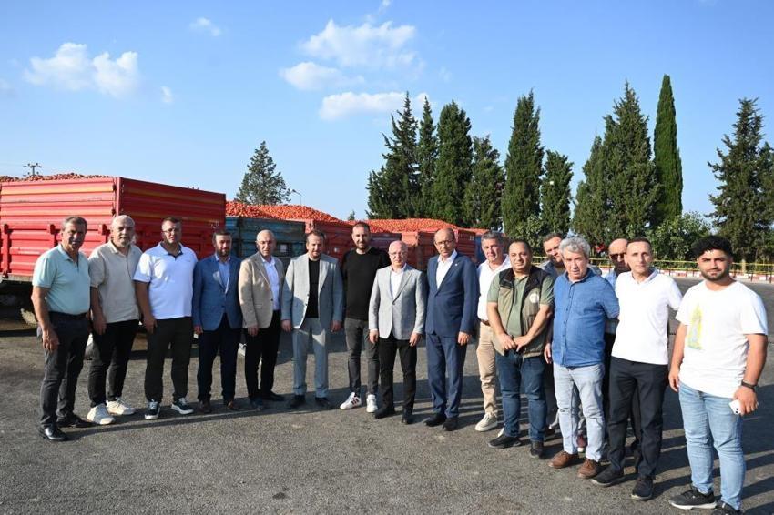 Tarlada domatesi kalan çiftçiye Bakanlıktan destek! Salça üreticisine destek verilecek