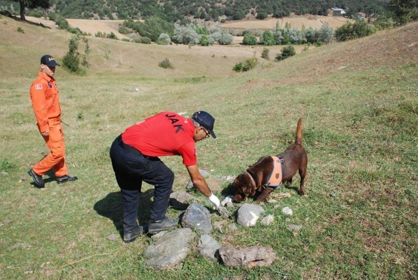 Kayıp Narin olayında son dakika gelişmesi! Amcası gözaltına alınmıştı, DNA sonuçları geldi