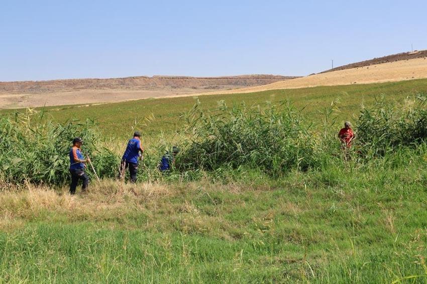 Kayıp Narin olayında son dakika gelişmesi! Amcası gözaltına alınmıştı, DNA sonuçları geldi