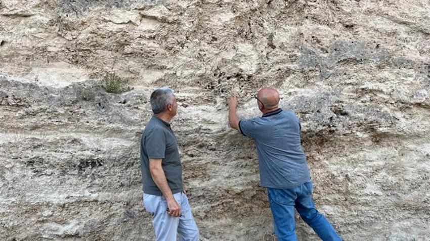 Bilim insanları Kayseri'de! Araştırma başladı, Kızılırmak kenarında rastlandı