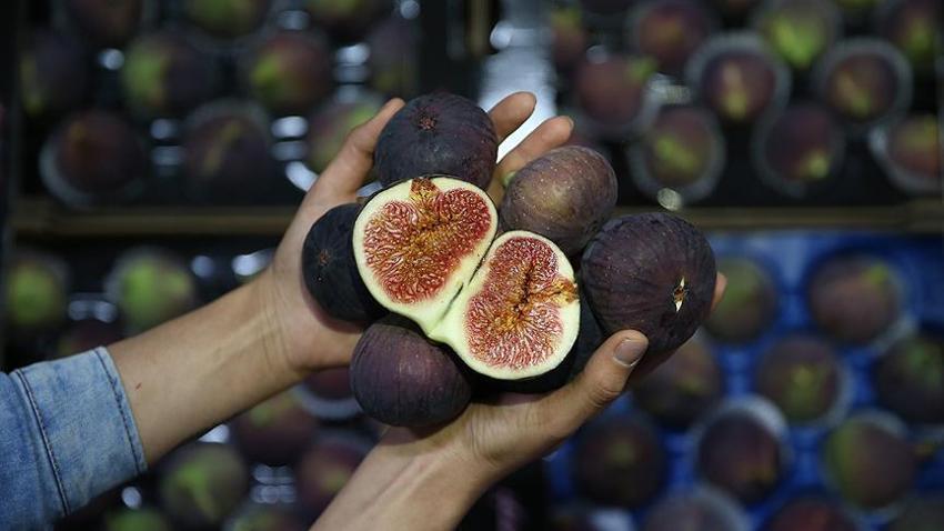 Bursalı çiftçilere müjde! Avrupa Birliği onayladı, artık dünya tanıyacak