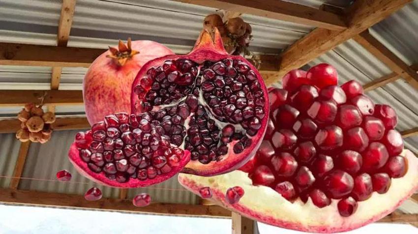 Sadece Kozan'da üretiliyor! Türkiye'de eşi benzeri yok