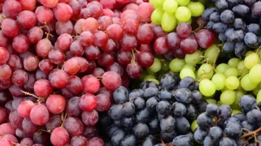 Turşusu yapıldığında tadına doyum olmayan besinler! Salatalığı unutun