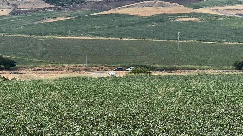 Narin soruşturmasında yeni detaylar! Ön otopsi raporu ortaya çıktı