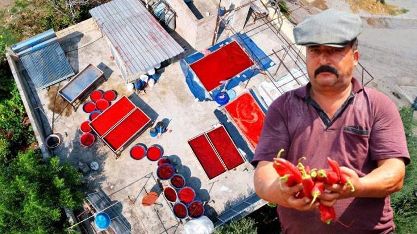 Adana'da salça sezonu başladı, damlar kızardı! Kilo fiyatı 15 liradan satılıyor