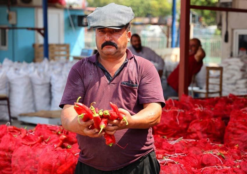 Adana'da salça sezonu başladı, damlar kızardı! Kilo fiyatı 15 liradan satılıyor