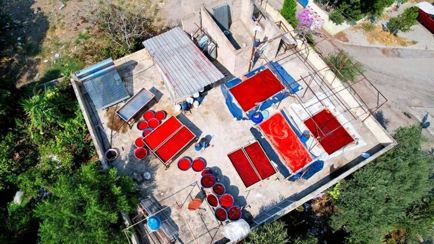 Adana'da salça sezonu başladı, damlar kızardı! Kilo fiyatı 15 liradan satılıyor