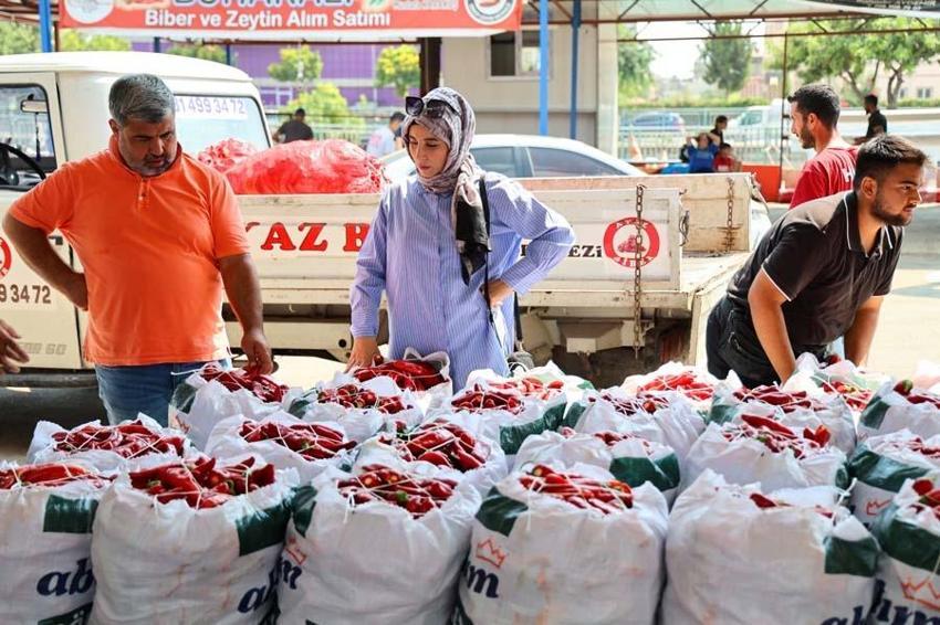 Adana'da salça sezonu başladı, damlar kızardı! Kilo fiyatı 15 liradan satılıyor