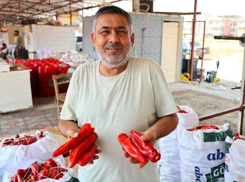 Adana'da salça sezonu başladı, damlar kızardı! Kilo fiyatı 15 liradan satılıyor