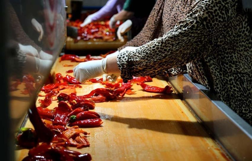 Adana'da salça sezonu başladı, damlar kızardı! Kilo fiyatı 15 liradan satılıyor