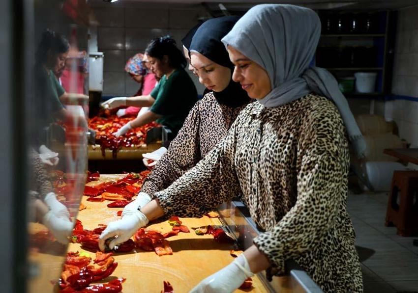 Adana'da salça sezonu başladı, damlar kızardı! Kilo fiyatı 15 liradan satılıyor