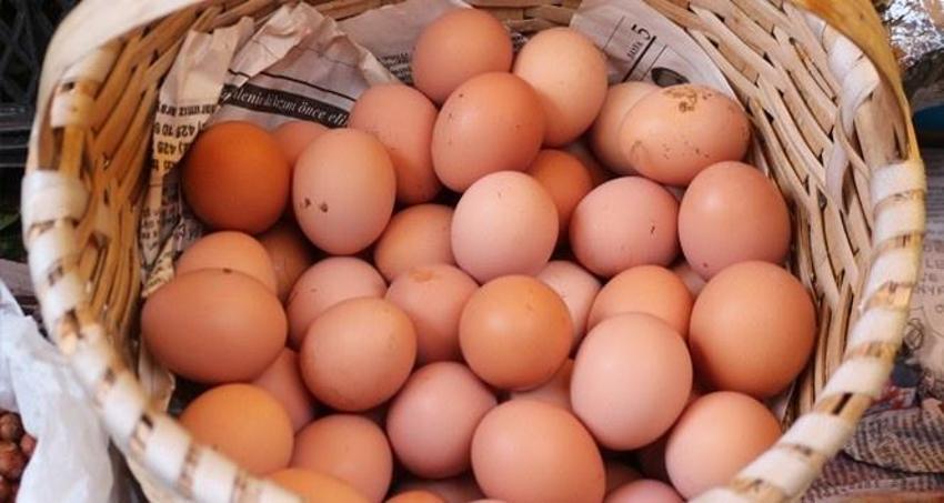 Haftada 2 tane yiyen unutkanlık nedir bilmiyor! Alzheimer riskini yüzde 47 düşürüyor