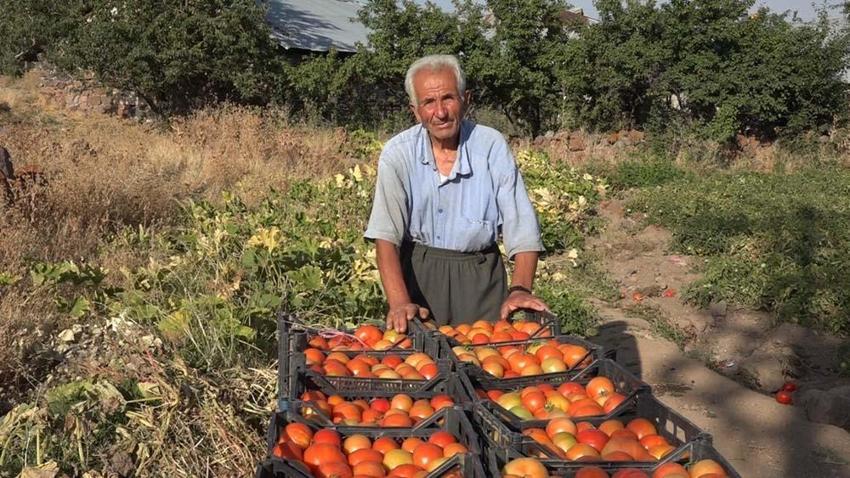 Van'da yıllardır ata tohumuyla üretim yapıyor! Kilogramını 10 liradan herkese satıyor
