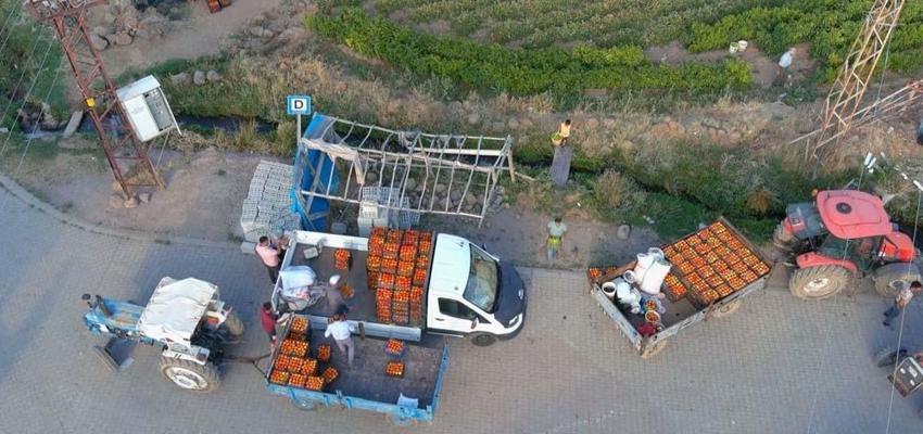 Van'da yıllardır ata tohumuyla üretim yapıyor! Kilogramını 10 liradan herkese satıyor
